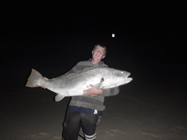 60lbs of mulloway muscle